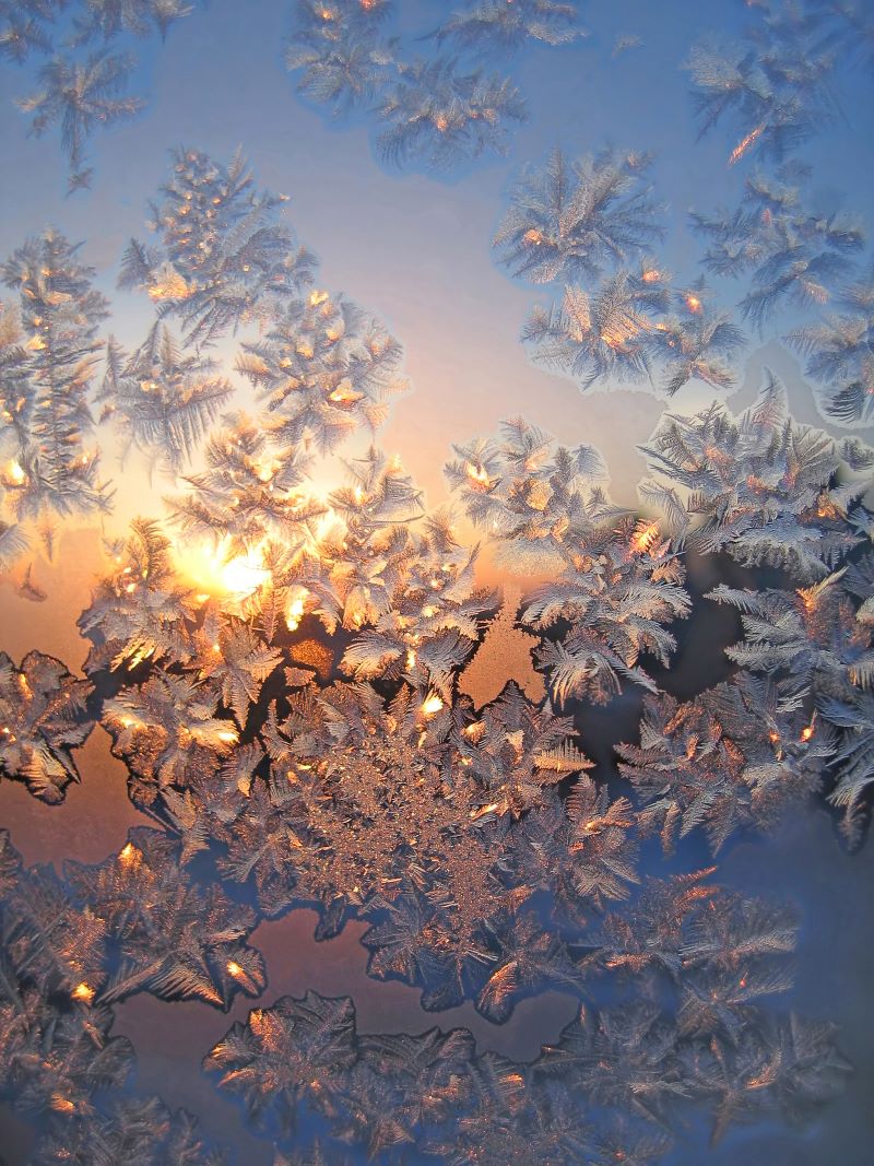 Aurinko paistaa ikkunaan jäähtyneiden lumikiteiden läpi.
